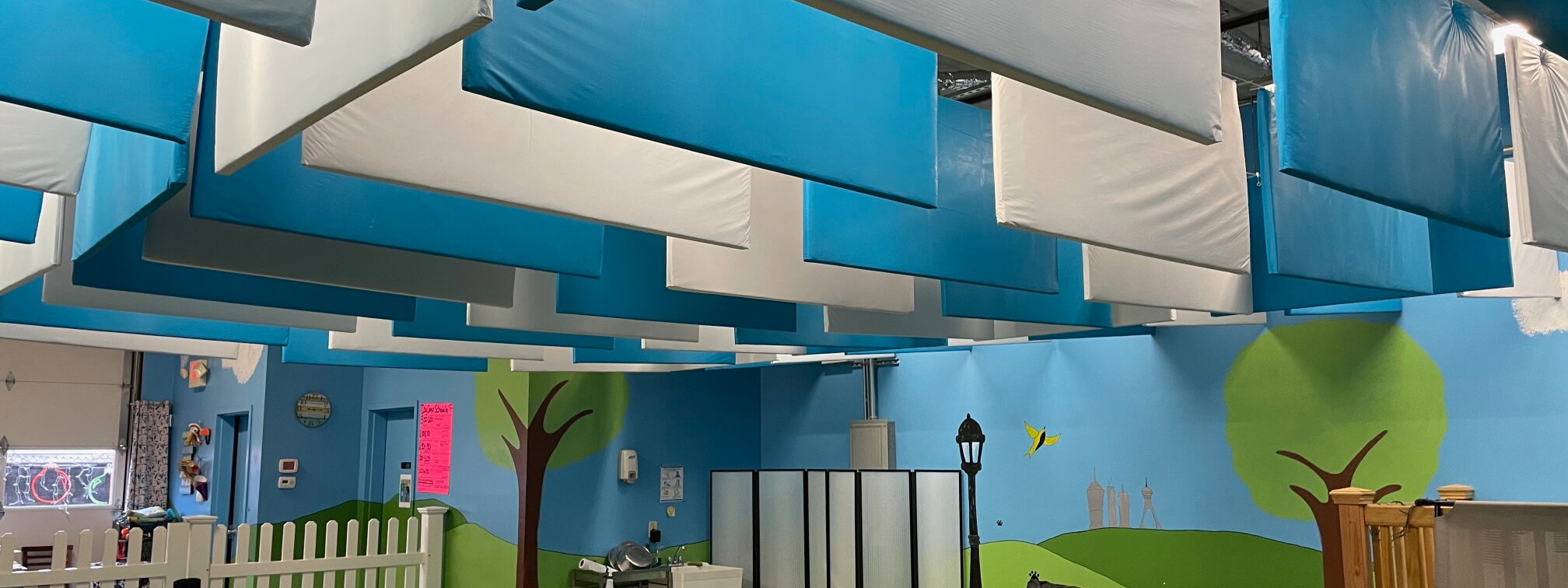Semi-Rigid Baffles at Animal Daycare