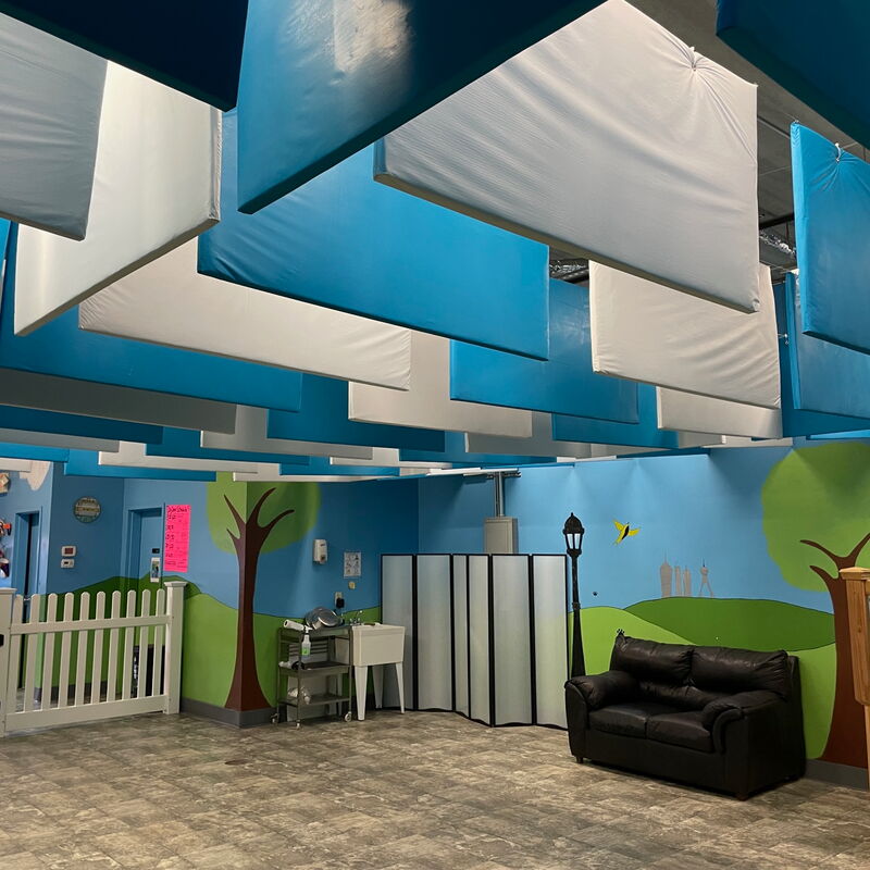 Animal Clinic Noise Control
