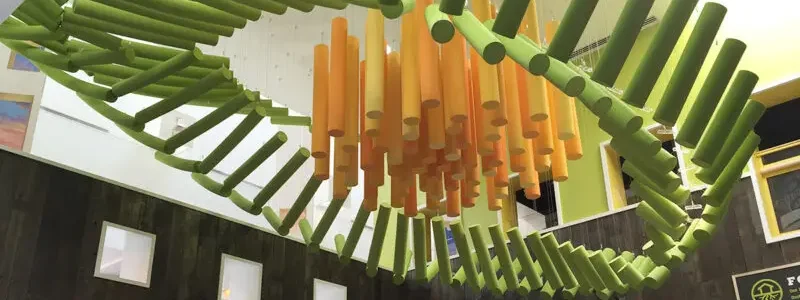 Foam Baffles Children Museum