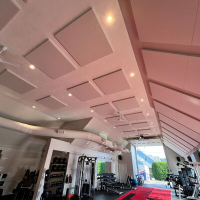 Acoustic Panels at Pulse Fit Training