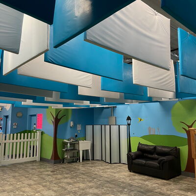 Semi-Rigid Baffles in Pet Facility