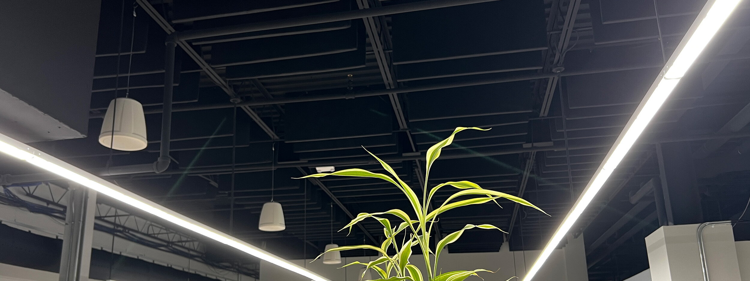 Semi-Rigid Baffles in Office