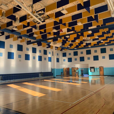 Acoustic Baffles