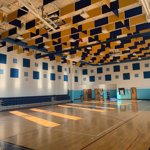 Gym Baffles and Wall Panels at Las Americas ASPIRA Academy