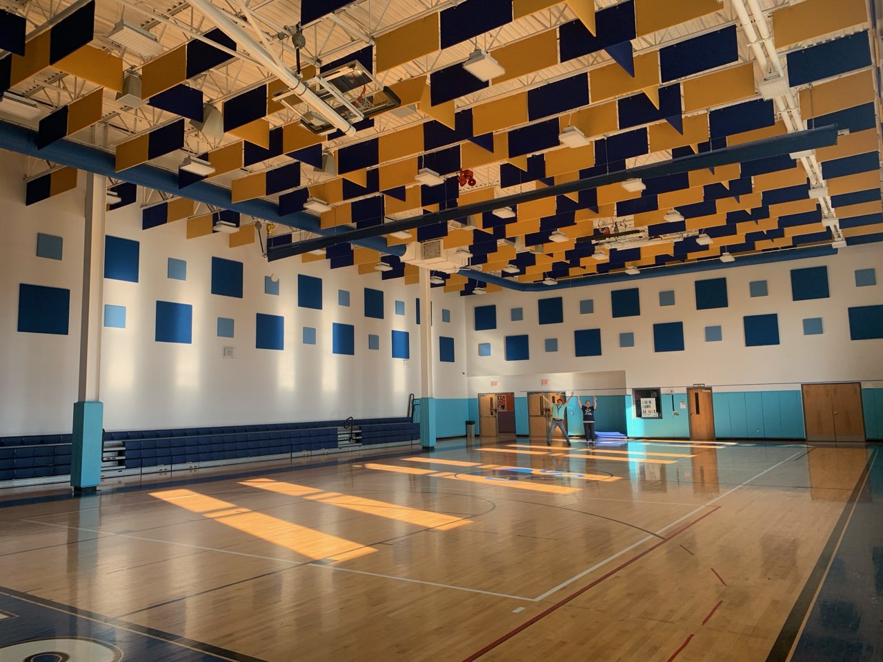 Gym Baffles and Wall Panels at Las Americas ASPIRA Academy